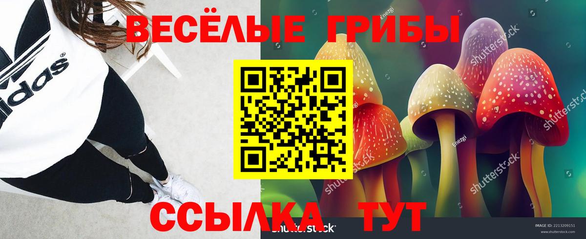 Сибай  Псилоцибиновые грибы MAGIC MUSHROOMS  Вход с VPN 
